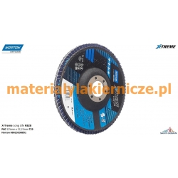 NORTON X-Treme R828 P60